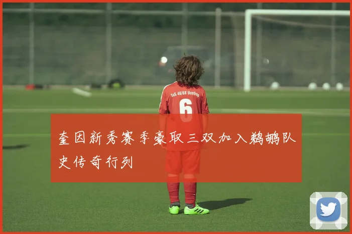 奎因新秀赛季豪取三双加入鹈鹕队史传奇行列