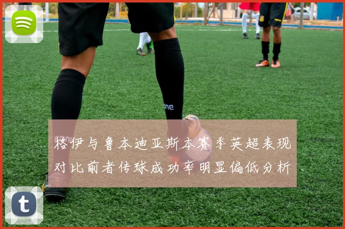 格伊与鲁本迪亚斯本赛季英超表现对比前者传球成功率明显偏低分析
