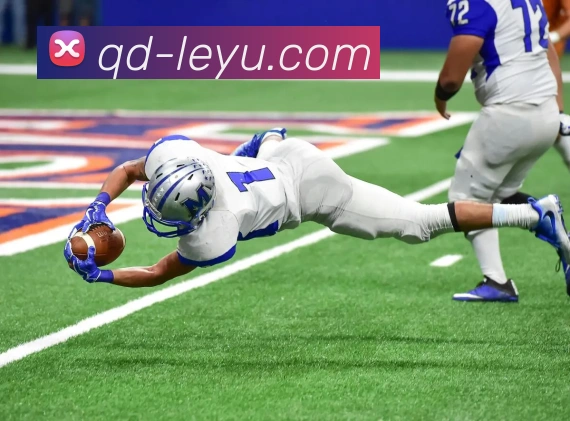 乐鱼体育发展历程